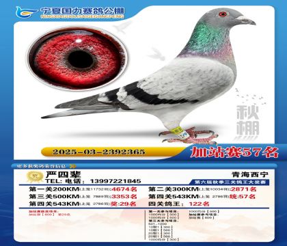 国力秋棚加站赛57名