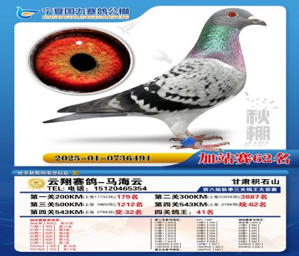 国力秋棚加站赛62名