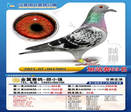 国力秋棚加站赛63名