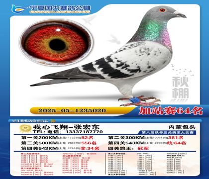 国力秋棚加站赛64名