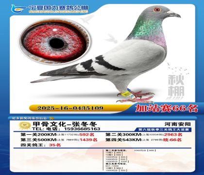 国力秋棚加站赛66名