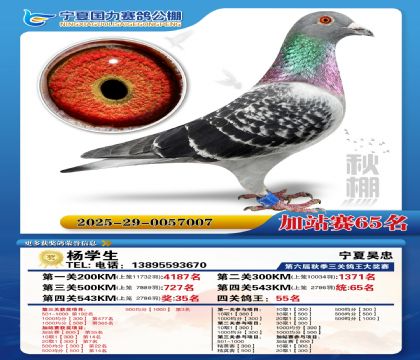 国力秋棚加站赛65名