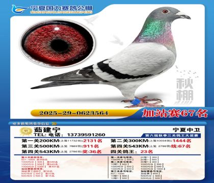 国力秋棚加站赛67名