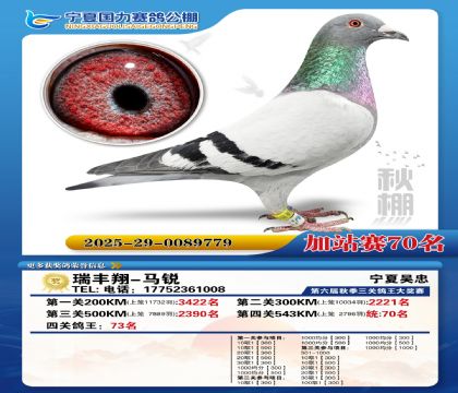 国力秋棚加站赛70名