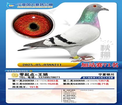 国力秋棚加站赛71名