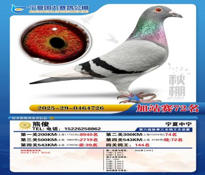 国力秋棚加站赛72名