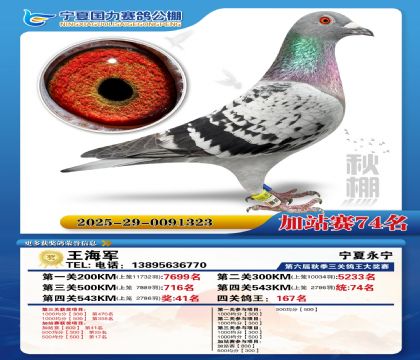 国力秋棚加站赛74名