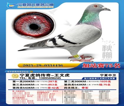 国力秋棚加站赛75名