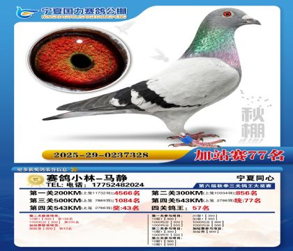 国力秋棚加站赛77名