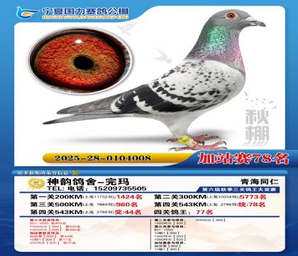 国力秋棚加站赛78名