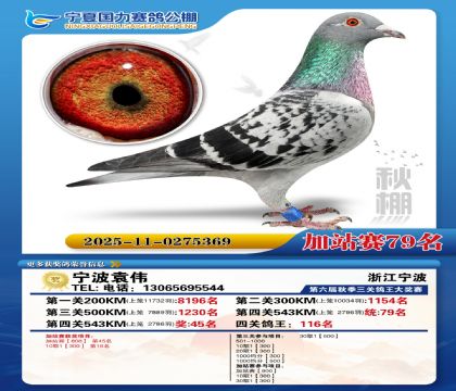 国力秋棚加站赛79名