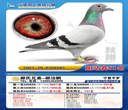 国力秋棚加站赛81名