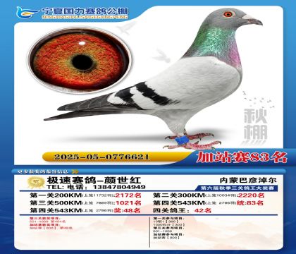 国力秋棚加站赛83名