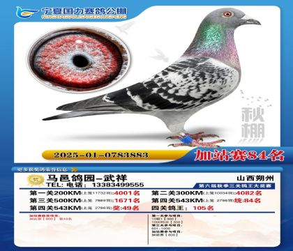 国力秋棚加站赛84名