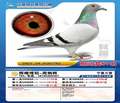 国力秋棚加站赛87名