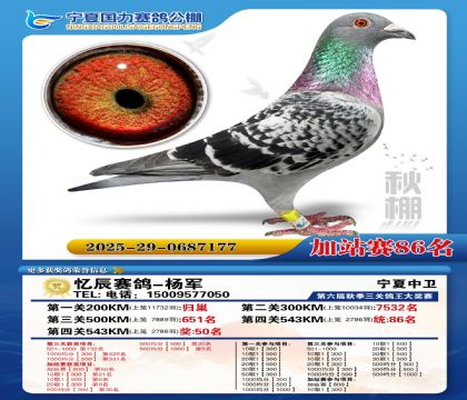 国力秋棚加站赛86名