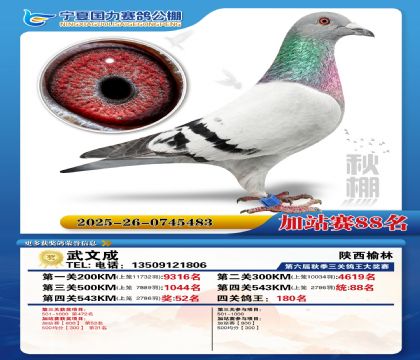 国力秋棚加站赛88名