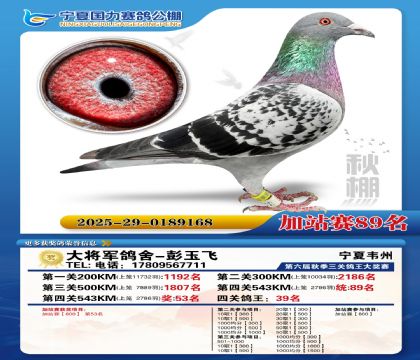 国力秋棚加站赛89名