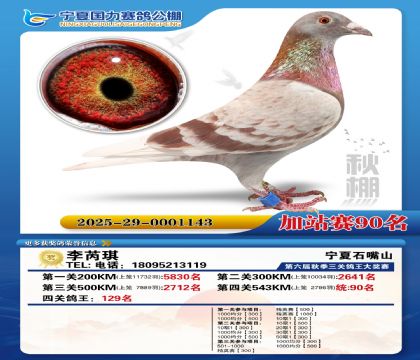 国力秋棚加站赛90名