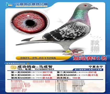 国力秋棚加站赛91名