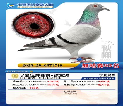 国力秋棚加站赛93名