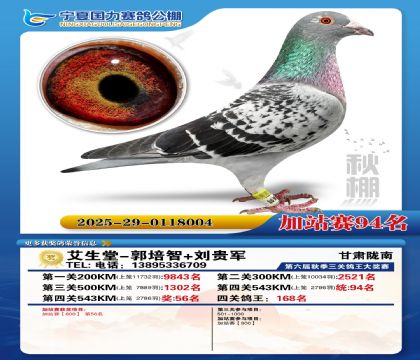 国力秋棚加站赛94名