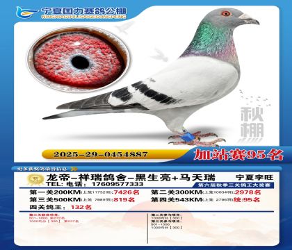 国力秋棚加站赛95名