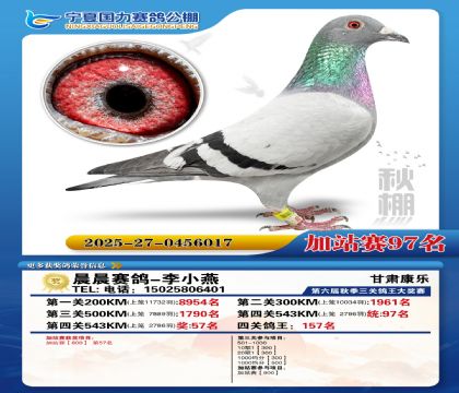 国力秋棚加站赛97名