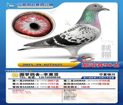 国力秋棚加站赛98名