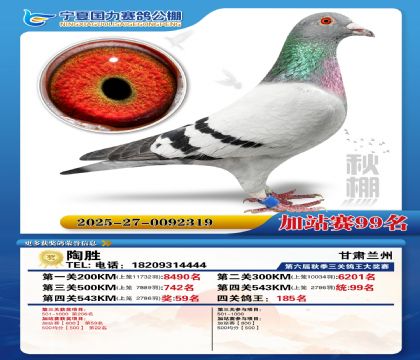 国力秋棚加站赛99名