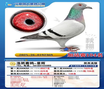 国力秋棚加站赛104名