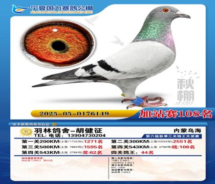 国力秋棚加站赛108名