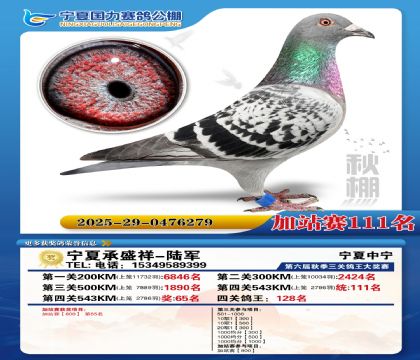 国力秋棚加站赛111名