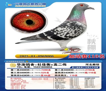 国力秋棚加站赛110名