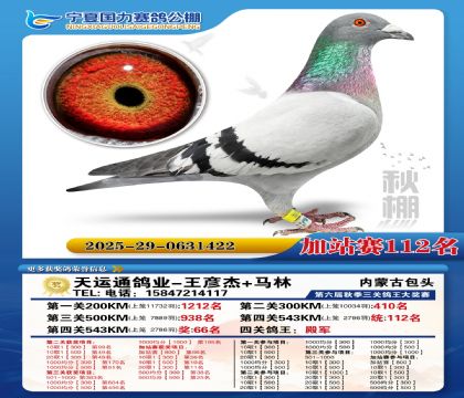 国力秋棚加站赛112名