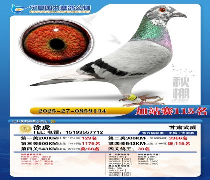 国力秋棚加站赛115名