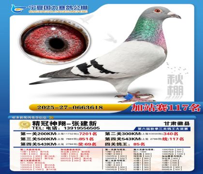 国力秋棚加站赛117名