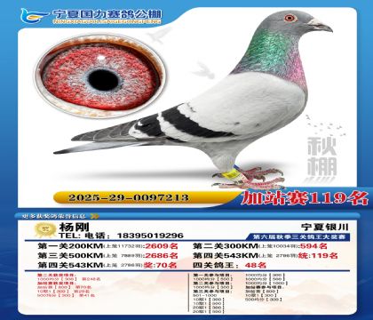 国力秋棚加站赛119名