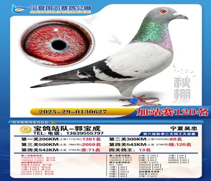 国力秋棚加站赛120名