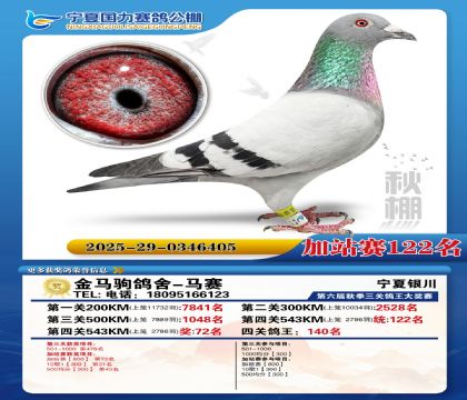 国力秋棚加站赛122名