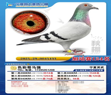 国力秋棚加站赛124名