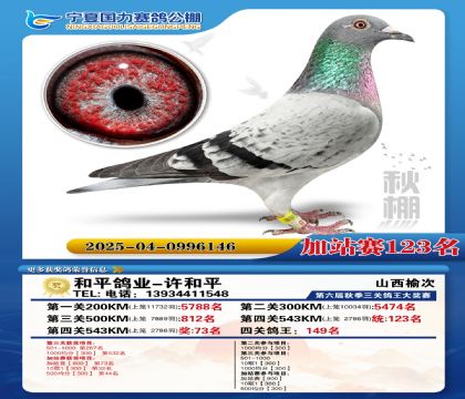 国力秋棚加站赛123名