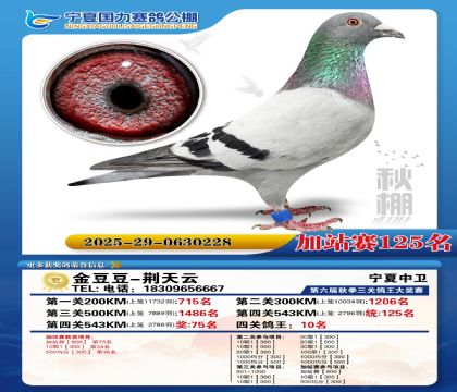 国力秋棚加站赛125名