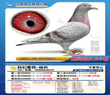 国力秋棚加站赛126名