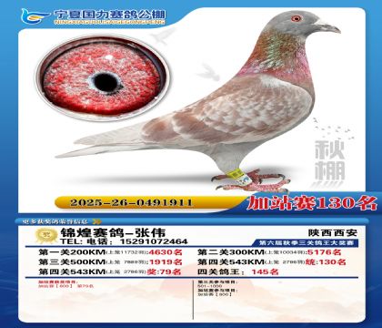 国力秋棚加站赛130名