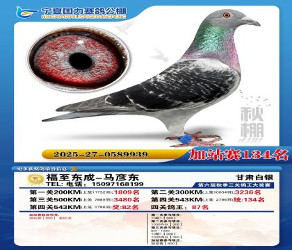 国力秋棚加站赛134名