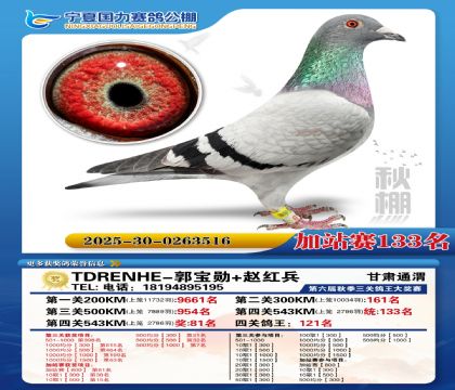 国力秋棚加站赛133名