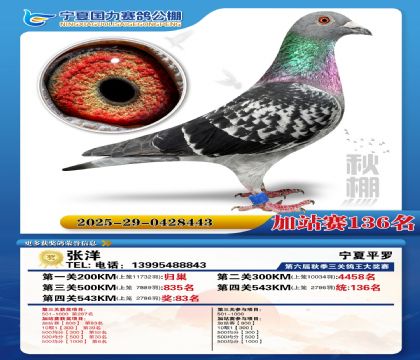 国力秋棚加站赛136名