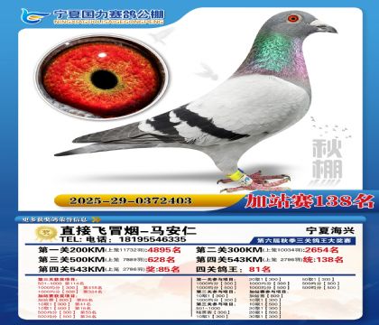 国力秋棚加站赛138名