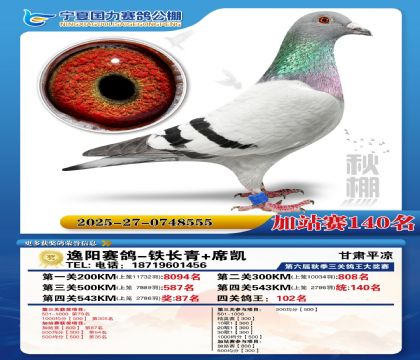 国力秋棚加站赛140名